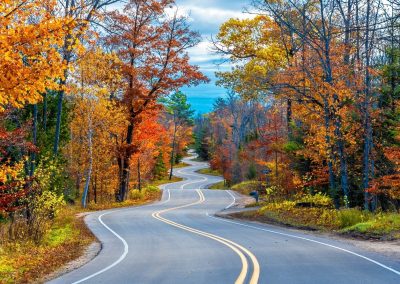 curvy road surrounded by fall colored trees